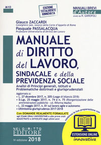Manuale di diritto del lavoro, sindacale e della previdenza sociale. Con espansione online