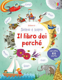 9781409560630 - Il libro dei perché. Ediz. illustrata