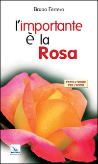 9788801132311 - L'importante è la rosa