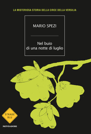 Foto non disponibile