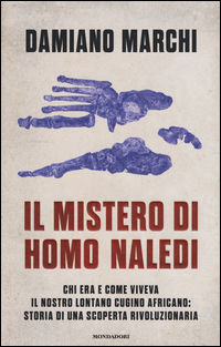 Foto non disponibile