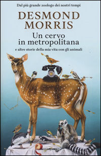 Foto non disponibile