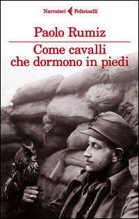 Foto non disponibile