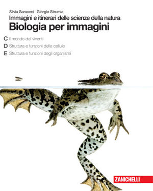 Foto non disponibile