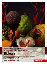 9788808935205 - Biologia. Con Contenuto digitale (fornito elettronicamente). Vol. 4: La biologia delle piante