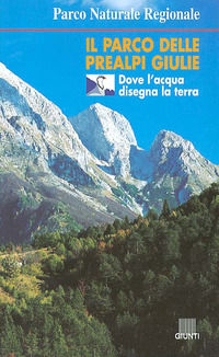 9788809028883 - Il parco delle Prealpi Giulie