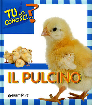 9788809060654 - Il pulcino. Ediz. illustrata