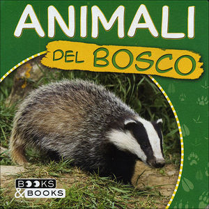 9788809783867 - Animali del bosco. Ediz. illustrata