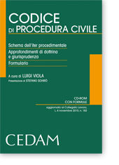 9788813306298 - Codice di procedura civile. Scheda dell'iter procedimentale. Approdondimenti di dottrina e giurisprudenza. Formulario. C