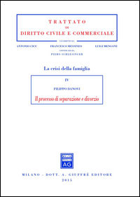9788814201028 - Il processo di separazione e divorzio