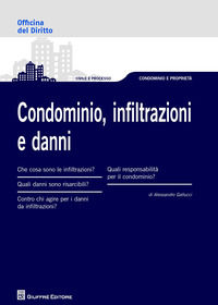 9788814220616 - Condominio, infiltrazioni e danni