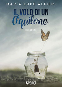 9788824953610 - Il volo di un aquilone