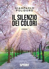 9788824962377 - Il silenzio dei colori