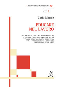 9788825521719 - Educare nel lavoro. Una proposta educativa per l'istruzione e la formazione professionale basata sulla teoria filosofica