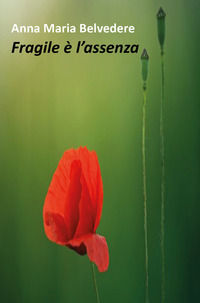 9788827825853 - Fragile è l'assenza