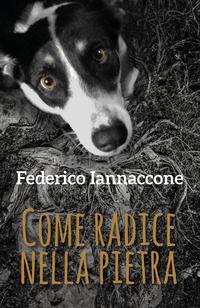 9788827830482 - Come radice nella pietra