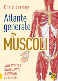 9788828538240 - Atlante generale dei muscoli. Con poster anatomico a colori