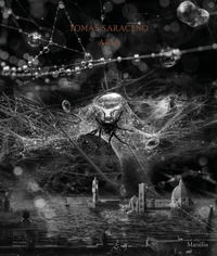 9788829703630 - Tomás Saraceno. Aria. Catalogo della mostra (Firenze, 22 febbraio-19 luglio 2020). Ediz. a colori