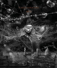 9788829703647 - Tomás Saraceno. Aria. Catalogo della mostra (Firenze, 22 febbraio-19 luglio 2020). Ediz. inglese