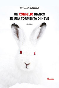Foto non disponibile