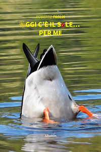 Foto non disponibile