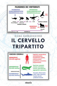 9788830671478 - Il cervello tripartito