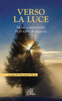 9788831540025 - Verso la luce. Morte e immortalità negli scritti di saggezza