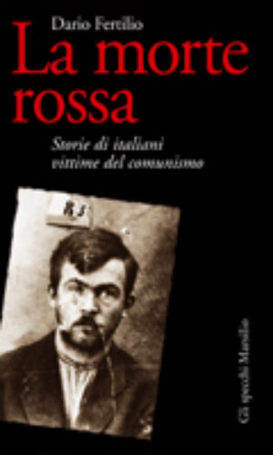 Foto non disponibile