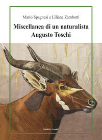 Foto non disponibile