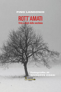Foto non disponibile