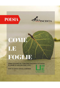Foto non disponibile