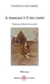 Foto non disponibile