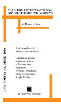 9788832743234 - Pillole di letteratura
