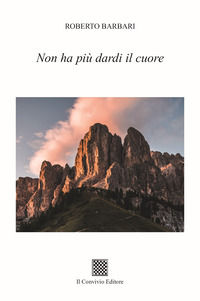 Foto non disponibile