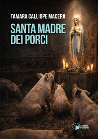 Foto non disponibile