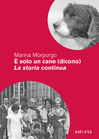 Foto non disponibile