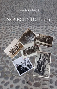 9788833304366 - Novecento piccolo