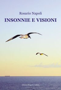 9788833561202 - Insonnie e visioni