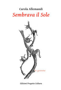 9788833563268 - Sembrava il Sole