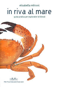 9788833700984 - In riva al mare. Guida pratica per esploratori di litorali