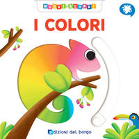 Foto non disponibile