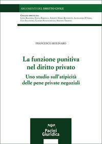 9788833798967 - La funzione punitiva nel diritto privato. Uno studio sull'atipicità delle pene private negoziali