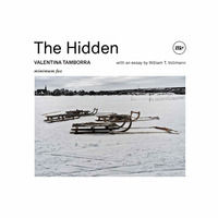 9788833895864 - The hidden. Ediz. illustrata