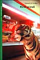 9788833911632 - Menti animali