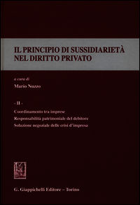9788834858882 - Il principio di sussidiarietà nel diritto privato. Vol. 2: Coordinamento tra imprese. Responsabilità patrimoniale del de