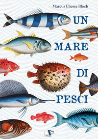 9788836283118 - Un mare di pesci. Ediz. a colori