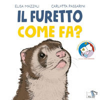 Foto non disponibile