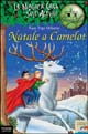 9788838478857 - Natale a Camelot
