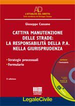 9788838765353 - Cattiva manutenzione delle strade: la responsabilità della P.A. nella giurisprudenza