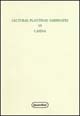 9788839206503 - Lecturae Plautinae sarsinates. Vol. 6: Casina